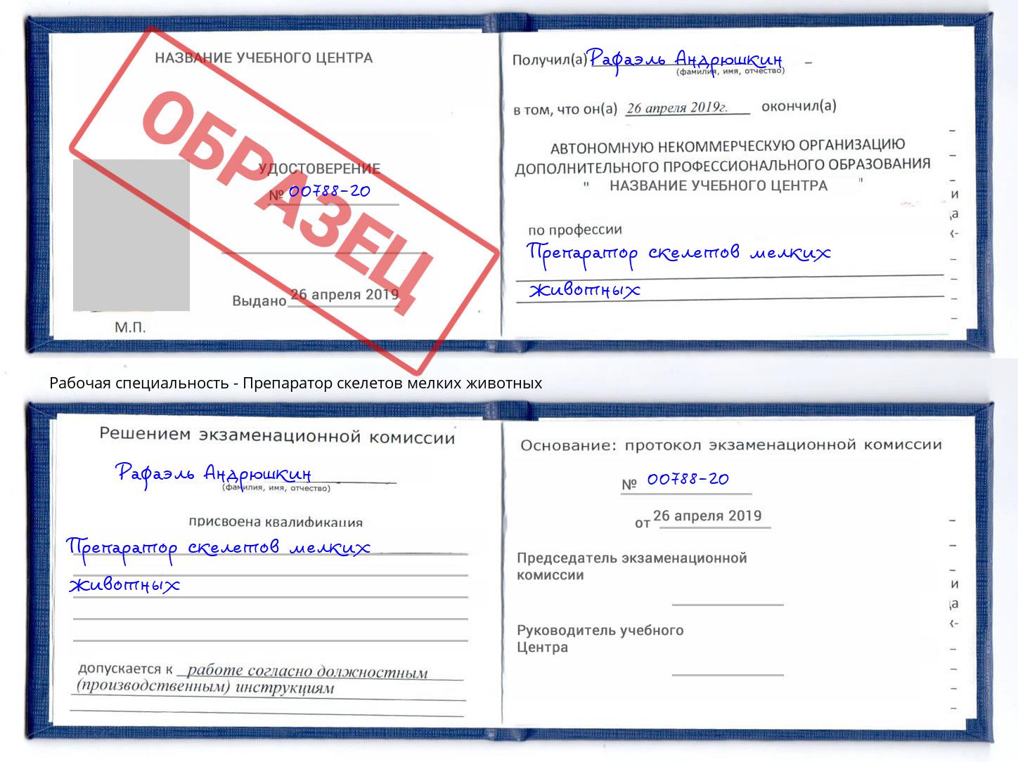 Препаратор скелетов мелких животных Оренбург
