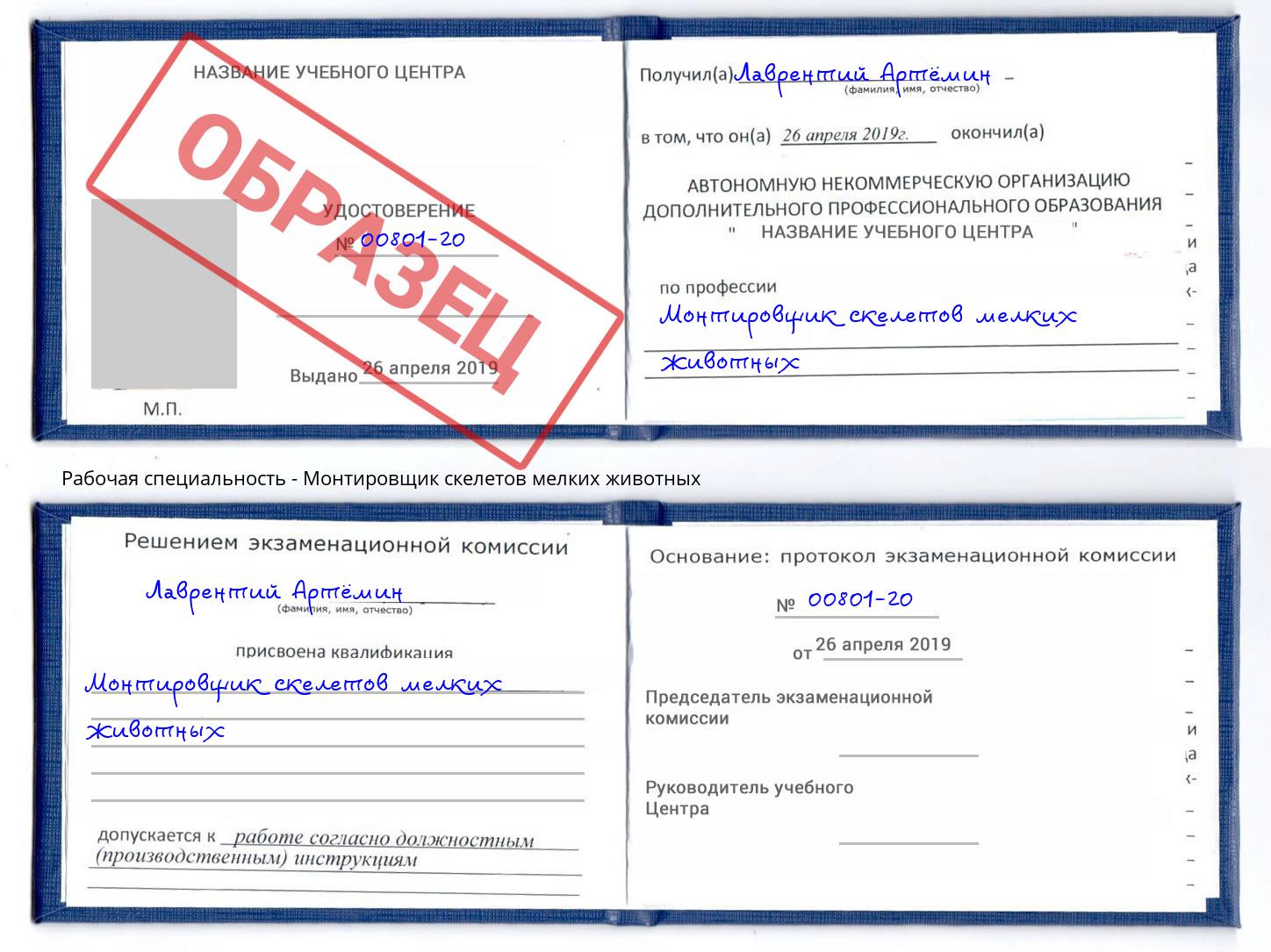 Монтировщик скелетов мелких животных Оренбург